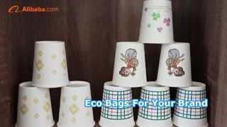 Eco Friendly Paper Bags Sustainable Packaging Solutions