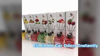Guanshan Car Aroma Diffuser Odor Eliminator for New Cars