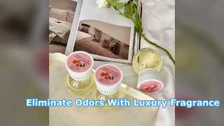 French Garden Reed Diffuser Luxury Home Odor Eliminator