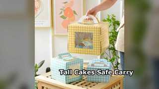 Tall Cake Boxes Handles Layered Mousse Cakes
